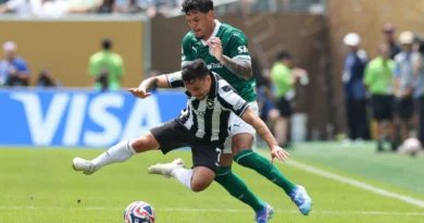 Palmeiras vs Botafogo in the Club World Cup