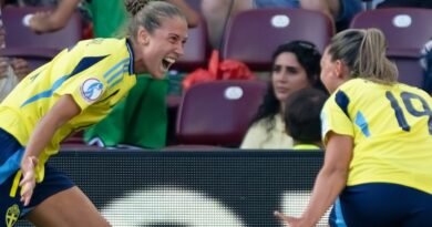 Sweden Defeats Denmark 1-0