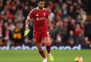 The "Luis Díaz Effect": Bayern Munich Targeting Liverpool’s Gakpo to Bolster Bundesliga Attack