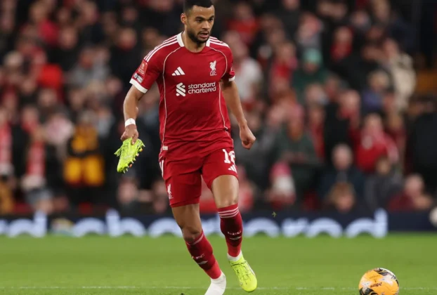 The "Luis Díaz Effect": Bayern Munich Targeting Liverpool’s Gakpo to Bolster Bundesliga Attack