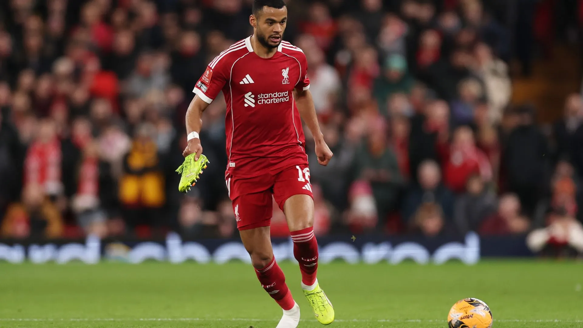 The "Luis Díaz Effect": Bayern Munich Targeting Liverpool’s Gakpo to Bolster Bundesliga Attack